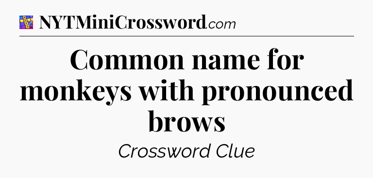 Common name for monkeys with pronounced brows Codycross