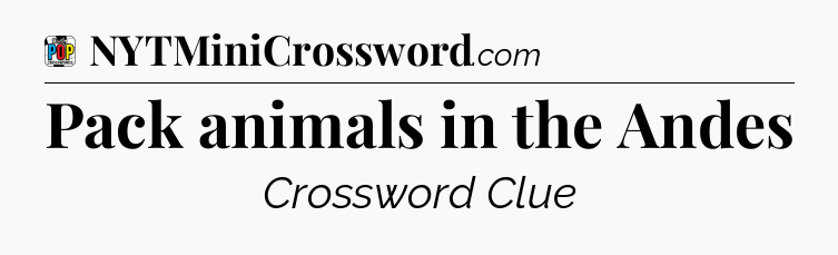 Pack animals in the Andes Crossword Clue