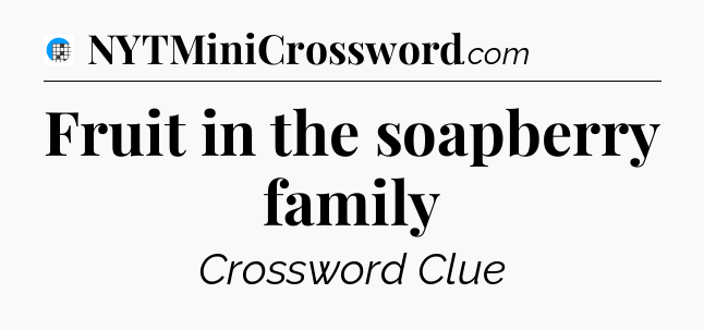 Fruit in the soapberry family Crossword Clue