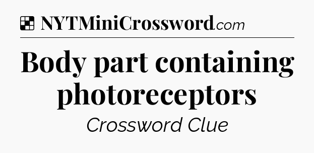 Solution: Body part containing photoreceptors - NYT Crossword