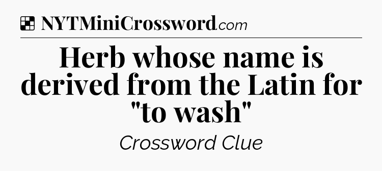 Solution: Herb whose name is derived from the Latin for 