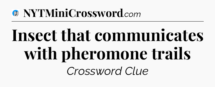 Insect that communicates with pheromone trails Crossword Clue