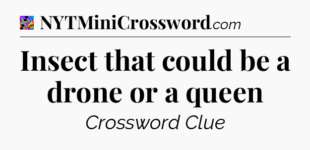 Insect that could be a drone or a queen Crossword Clue