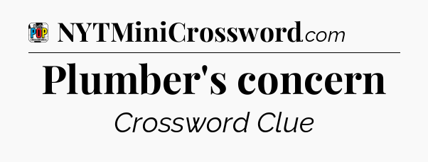 Plumber's concern Crossword Clue