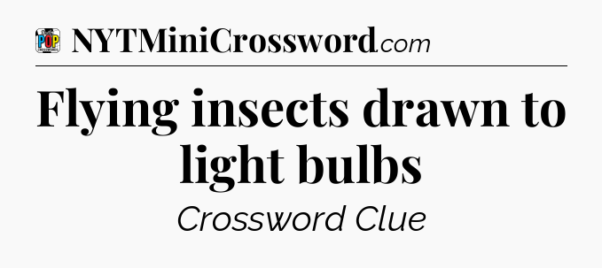 Flying insects drawn to light bulbs Crossword Clue
