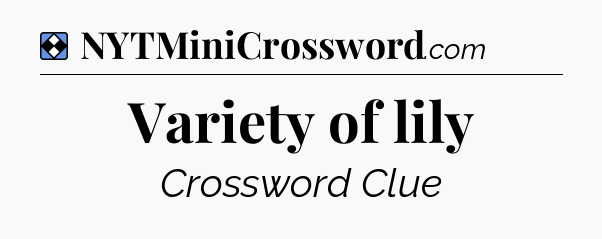 Solution: Variety of lily - NYT Mini Crossword