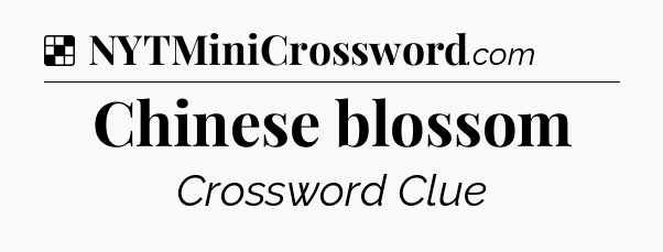 Solution: Chinese blossom - NYT Crossword