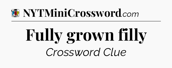 Fully grown filly Crossword Clue