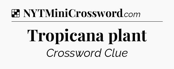 Solution: Tropicana plant - NYT Crossword