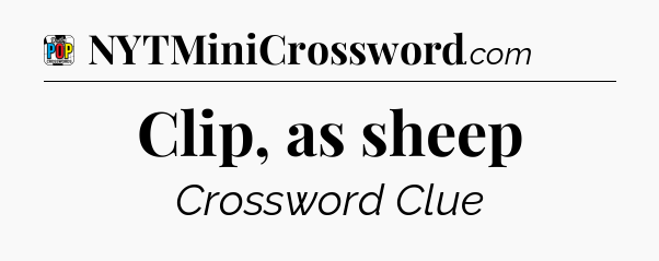 Clip, as sheep Crossword Clue