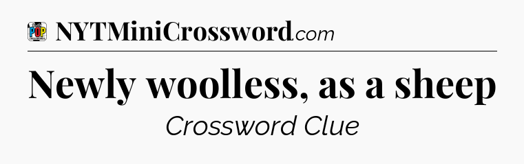 Newly woolless, as a sheep Crossword Clue