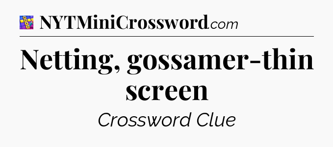 Netting, gossamer-thin screen Codycross