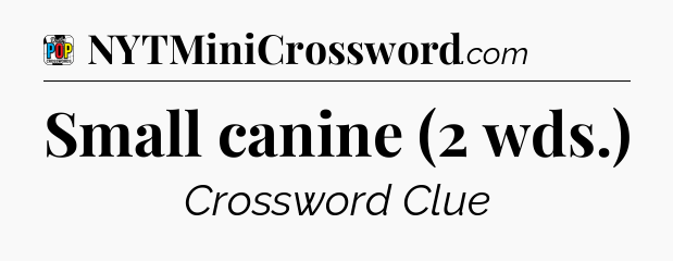 Small canine (2 wds.) Crossword Clue