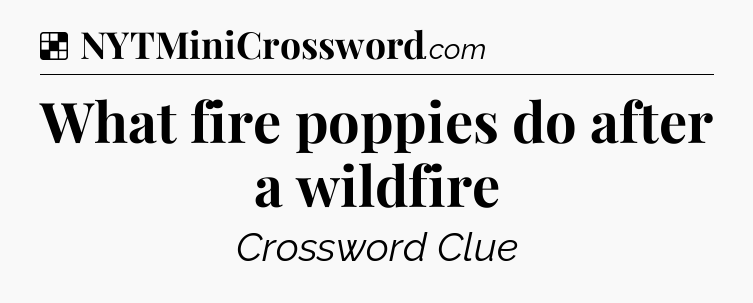 Solution: What fire poppies do after a wildfire - NYT Crossword