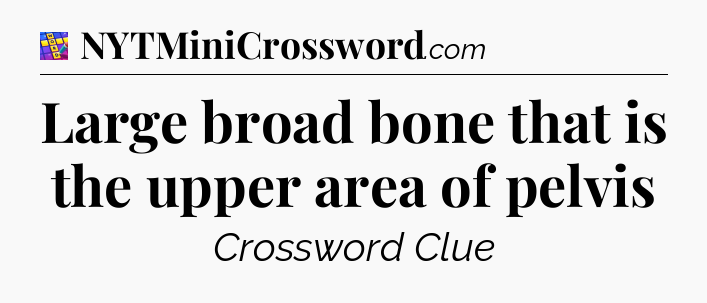 Large broad bone that is the upper area of pelvis Codycross