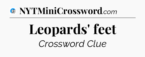 Leopards' feet Crossword Clue