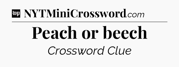 Peach or beech Crossword Clue