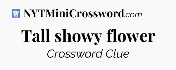 Tall showy flower Puzzle Page Crossword Clue