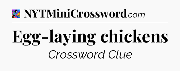 Egg-laying chickens Crossword Clue