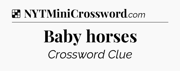 Solution: Baby horses - NYT Crossword