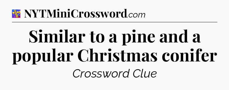 Similar to a pine and a popular Christmas conifer Codycross