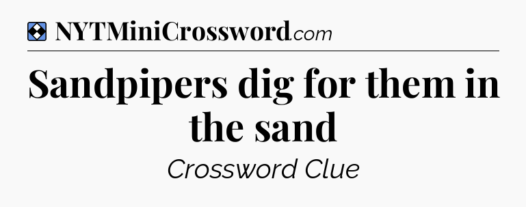 Solution: Sandpipers dig for them in the sand - NYT Mini Crossword