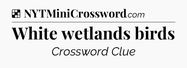 Solution: White wetlands birds - NYT Crossword