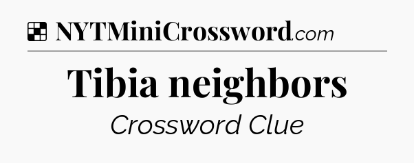 Solution: Tibia neighbors - NYT Crossword
