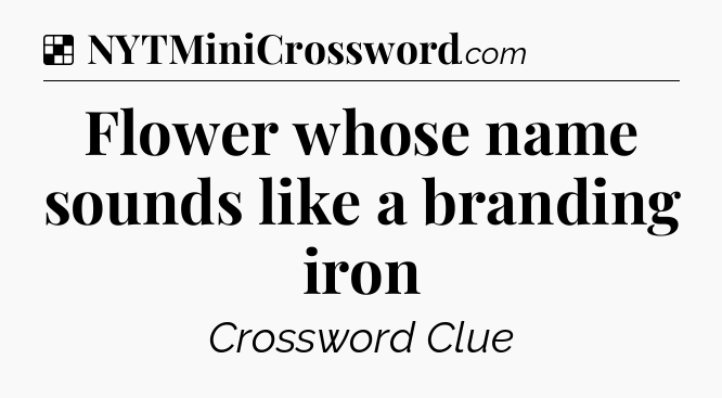 Solution: Flower whose name sounds like a branding iron - NYT Crossword