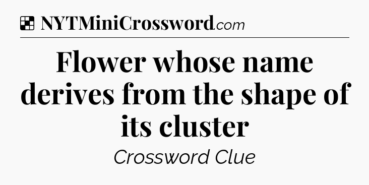 Solution: Flower whose name derives from the shape of its cluster - NYT Crossword