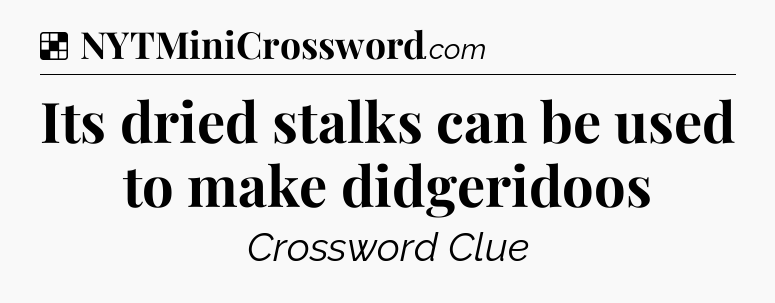 Solution: Its dried stalks can be used to make didgeridoos - NYT Crossword
