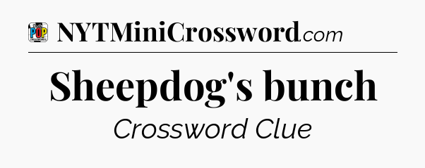 Sheepdog's bunch Crossword Clue