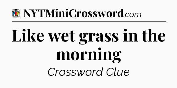 Like wet grass in the morning Crossword Clue