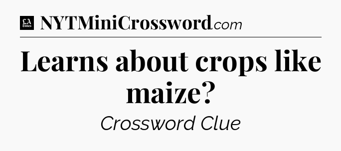 Learns about crops like maize - LA Times Crossword