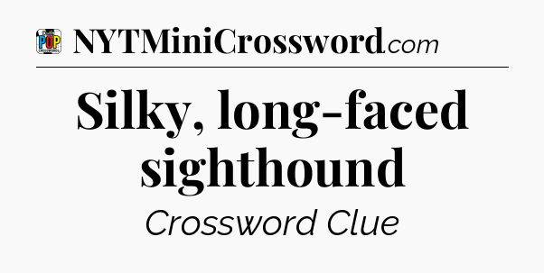 Silky, long-faced sighthound Crossword Clue