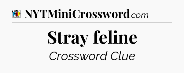 Stray feline Crossword Clue