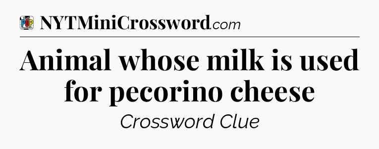 Animal whose milk is used for pecorino cheese Crossword Clue