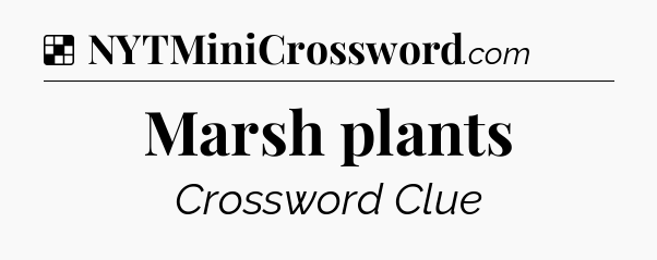 Solution: Marsh plants - NYT Crossword