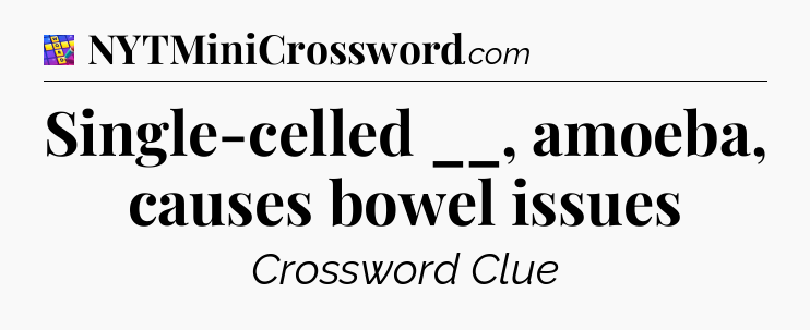 Single-celled __, amoeba, causes bowel issues Codycross