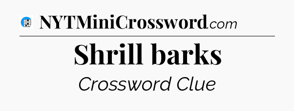 Shrill barks Crossword Clue