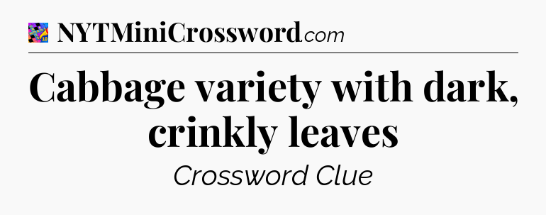 Cabbage variety with dark, crinkly leaves Crossword Clue