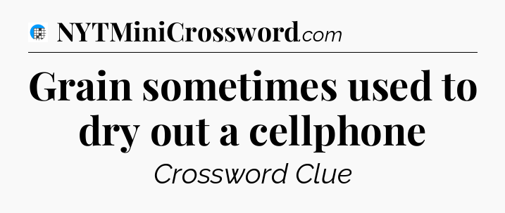 Grain sometimes used to dry out a cellphone Crossword Clue