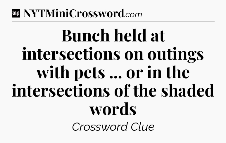 Bunch held at intersections on outings with pets ... or in the intersections of the shaded words Crossword Clue