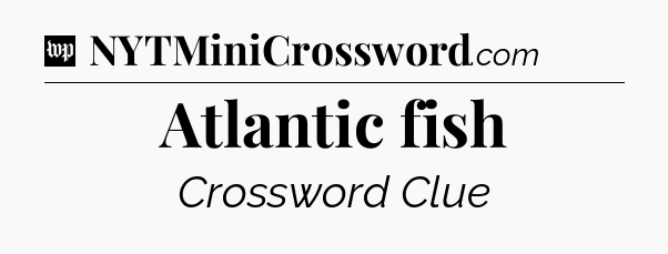 Atlantic fish Crossword Clue