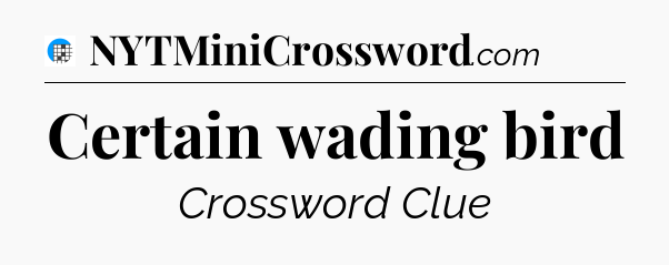 Certain wading bird Crossword Clue