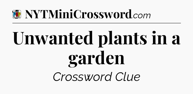 Unwanted plants in a garden Crossword Clue