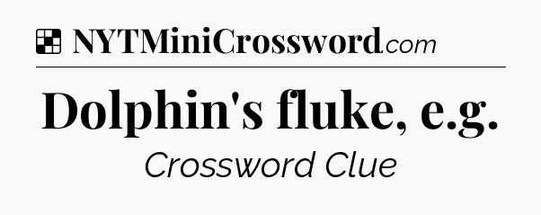 Solution: Dolphin's fluke, e.g - NYT Crossword