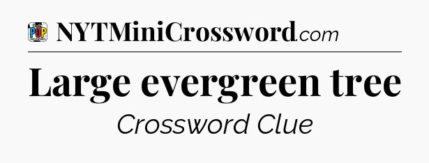 Large evergreen tree Crossword Clue