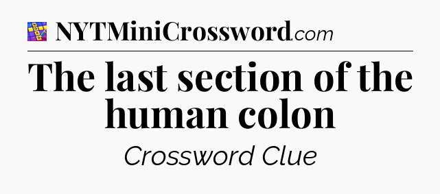 The last section of the human colon Codycross