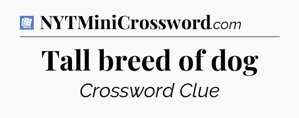 Tall breed of dog Puzzle Page Crossword Clue